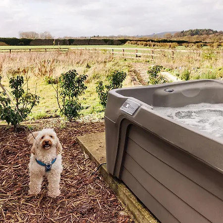 Barnahown B&b, 3* ミッチェルズタウン