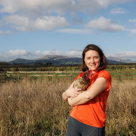 Bed & Breakfast Barnahown B&b, Mitchelstown