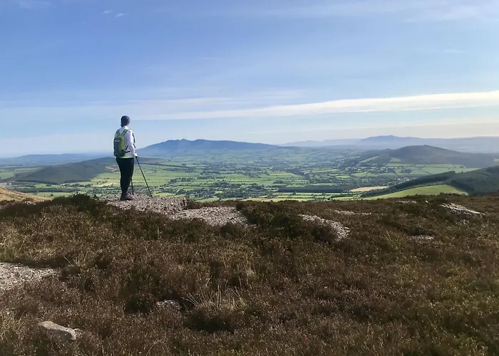 Barnahown B&B, Mitchelstown Oda ve Kahvaltı